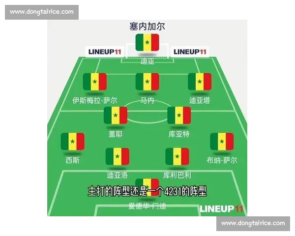 卡塔尔对阵挪威的实力对比与战术博弈前瞻分析 卡塔尔对阵挪威的实力对比与战术博弈前瞻分析